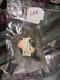 Fisher Paykel, Jenn-Air Range CK7-44-18 210872 Thermostat
