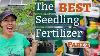 What Is The Best Fertilizer For Seedlings Test 2